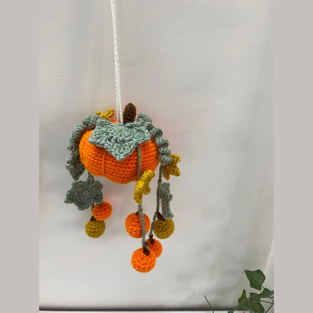 Crochet hanging pumpkin displayed on a wall beside a houseplant