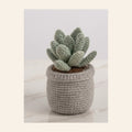 Crochet succulent with pale green leaves in a grey crochet pot